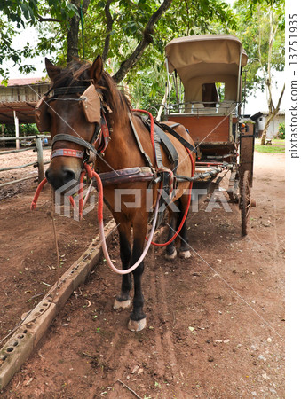 Horse and Carriage in Thailand. Horse and Carriage in Thailand. 13751935