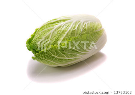 Cabbage Cabbage 13753102