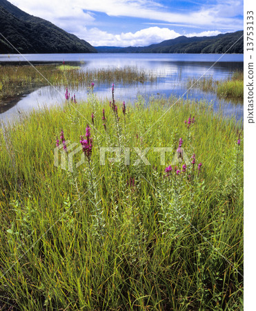 夏末秋元湖 13753133