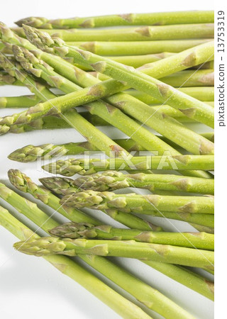 蘆筍 蘆筍 13753319