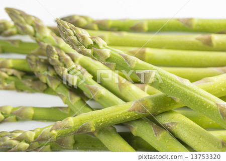 蘆筍 蘆筍 13753320