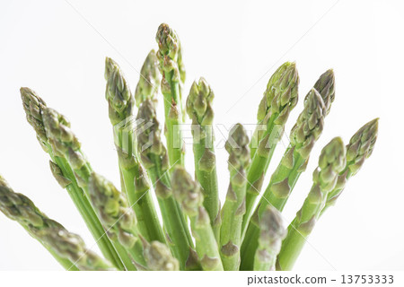 Asparagus 13753333