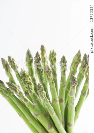 蘆筍 蘆筍 13753334