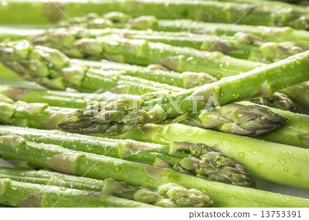 Asparagus Asparagus 13753391