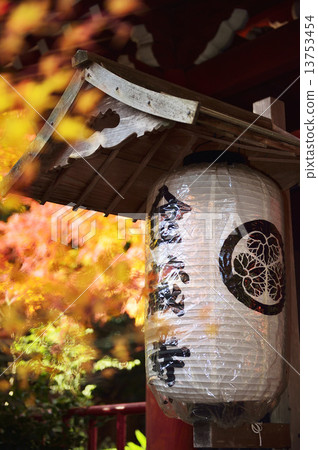 Autumn leaves of Kanzoji 13753454