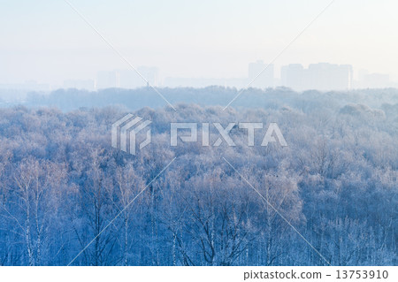 early morning over frozen forest and city 13753910