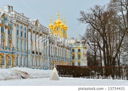 Winter alley and Catherine palace  in the Pushkin. 13754431