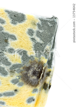 mold on bread 13754642