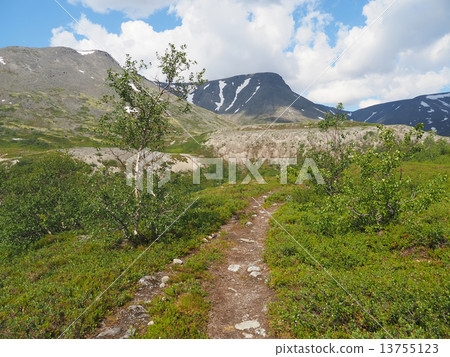 road in the mountains 13755123