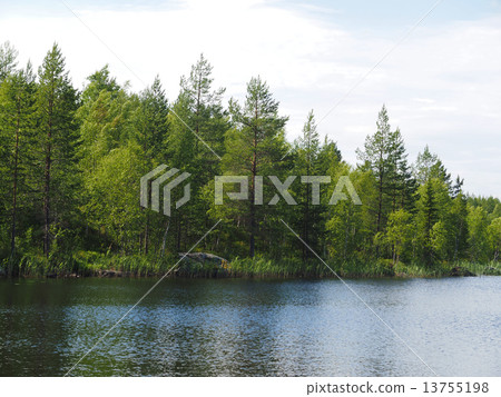 forest lake. karelia 13755198