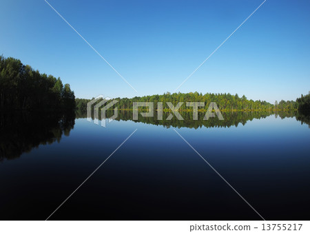 forest lake. karelia forest lake. karelia 13755217