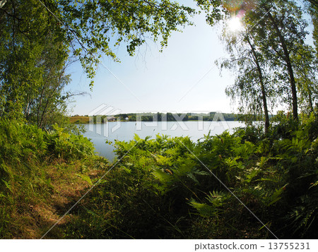 forest lake. karelia forest lake. karelia 13755231