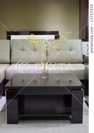 Modern furniture in the living room Modern furniture in the living room 13755428
