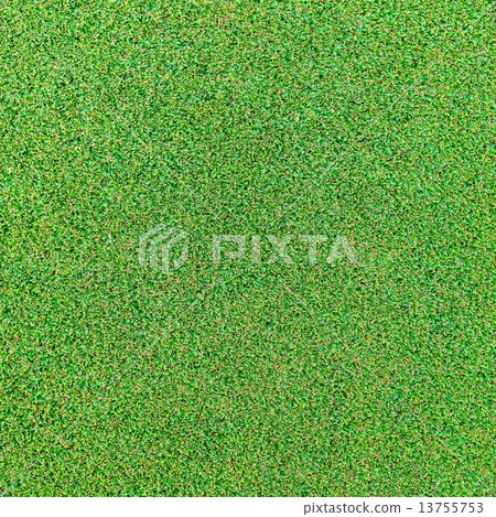 Grass 13755753