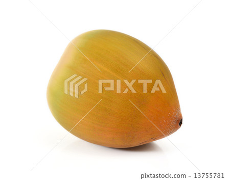 young coconut young coconut 13755781