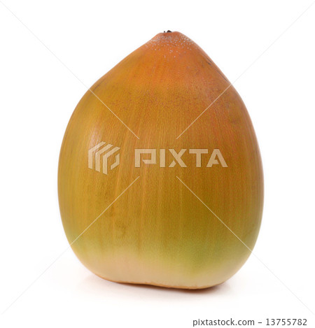 young coconut young coconut 13755782