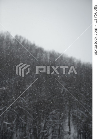 降雪（北海道） 13756088