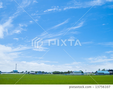 天空和雲彩和稻田 13756107