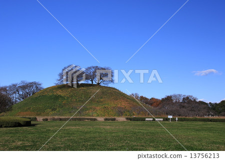 Scenery of Gota city, Saitama prefecture 13756213