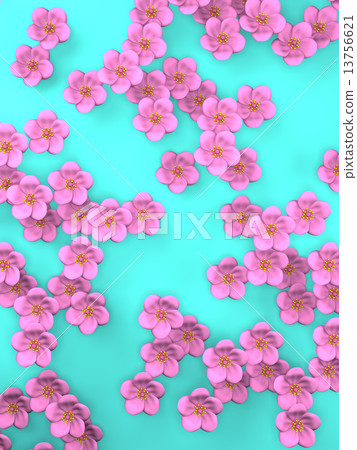 開花 花朵 花 13756621