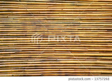 Bamboo Background 13757268