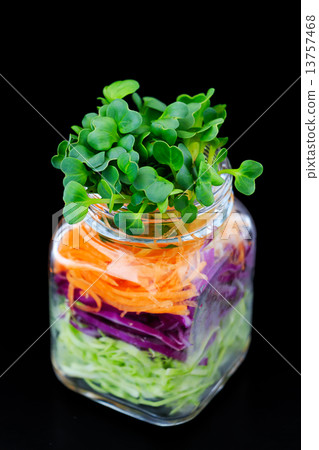  罐子沙拉 13757468