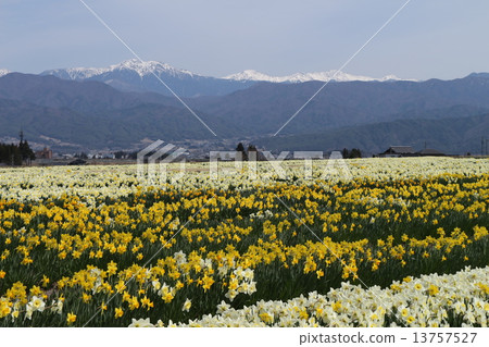 Southern Alps of Narcissus and Remaining Snow 13757527