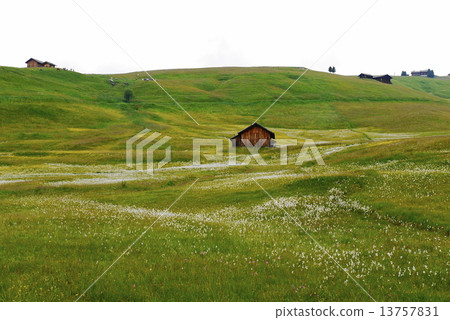 Alpe di Siusi alpe di siusi Zaiser alm seiser alm Alpe di Siusi alpe di siusi Zaiser alm seiser alm 13757831