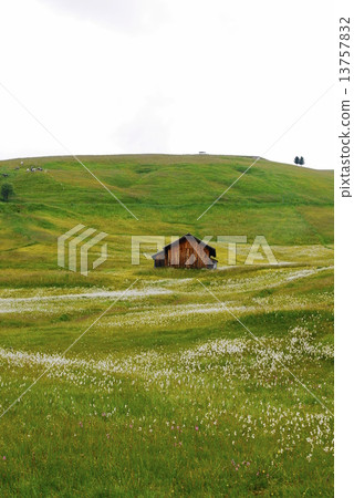 Alpe di Siusi alpe di siusi Zaiser alm seiser alm Alpe di Siusi alpe di siusi Zaiser alm seiser alm 13757832