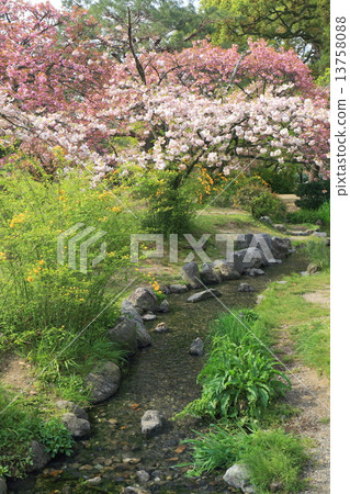 Kyoto garden in Kyoto Spring Creek of a flood 13758088