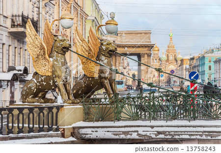 Griffon sculpture of Bank bridge in St.Peterburg 13758243