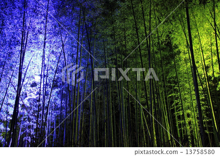 12月小竹林·嵐山花燈 12月小竹林·嵐山花燈 13758580