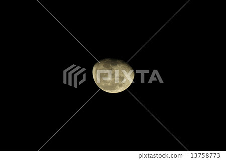 景觀中潮冬季 景觀中潮冬季 13758773