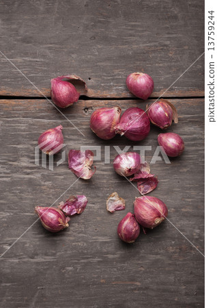 Shallot 13759244