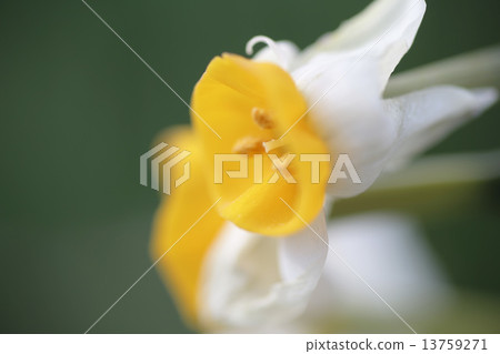 Karon Naraso Park Karon Naraso Park 13759271