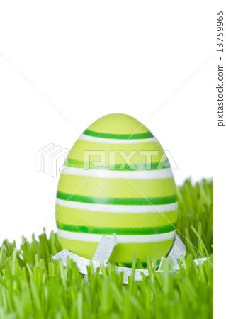 easter egg in grass 13759965