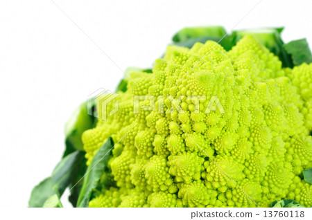 Romanesco 13760118