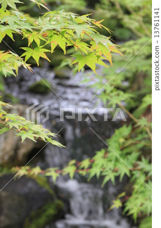 奈良縣奈良市依水園 13761141