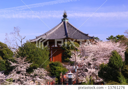 Kofukuji寺Kanpudo（奈良）在春天櫻花盛開 13761276