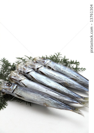 Dried sardines Dried sardines 13761304