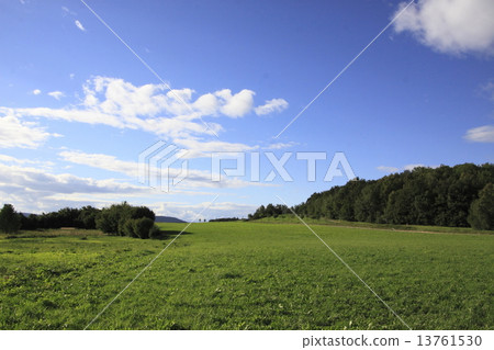 梅多 梅多 13761530