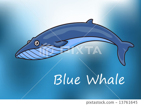 Cartoon blue whale swimming underwater 13761645
