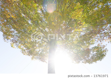 樹Oki公園 13761971