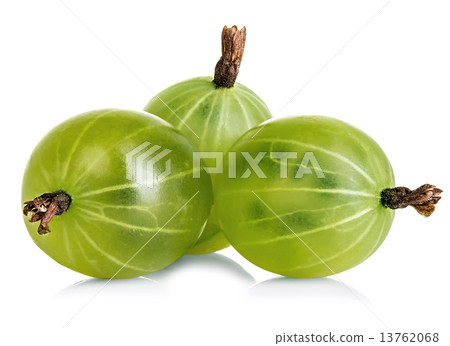 gooseberries isolated on a white background 13762068
