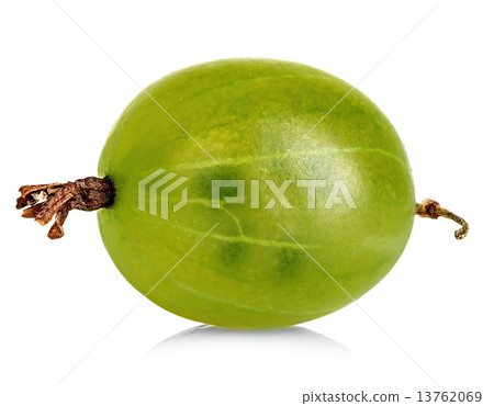 Gooseberry isolated on white 13762069