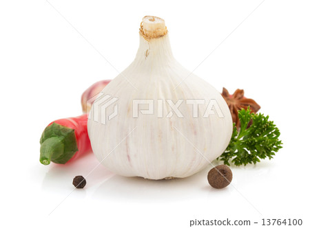 garlic spice isolated on white garlic spice isolated on white 13764100