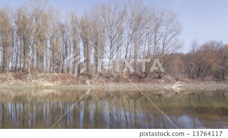 Line of Trees at Backwater 13764117