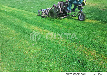 Mowing grass Mowing grass 13764579