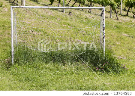 Soccer Goal 13764593