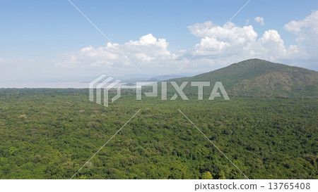 Lake Chamo, Ethiopia, Africa Lake Chamo, Ethiopia, Africa 13765408